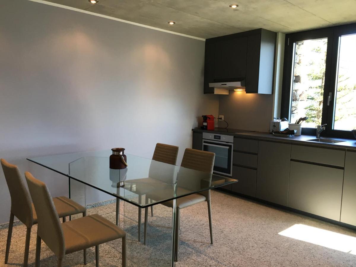 Rustico Resa: Brione Sopra Minusio别墅 外观 照片